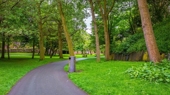 a cycle track going through a grassy wooded park